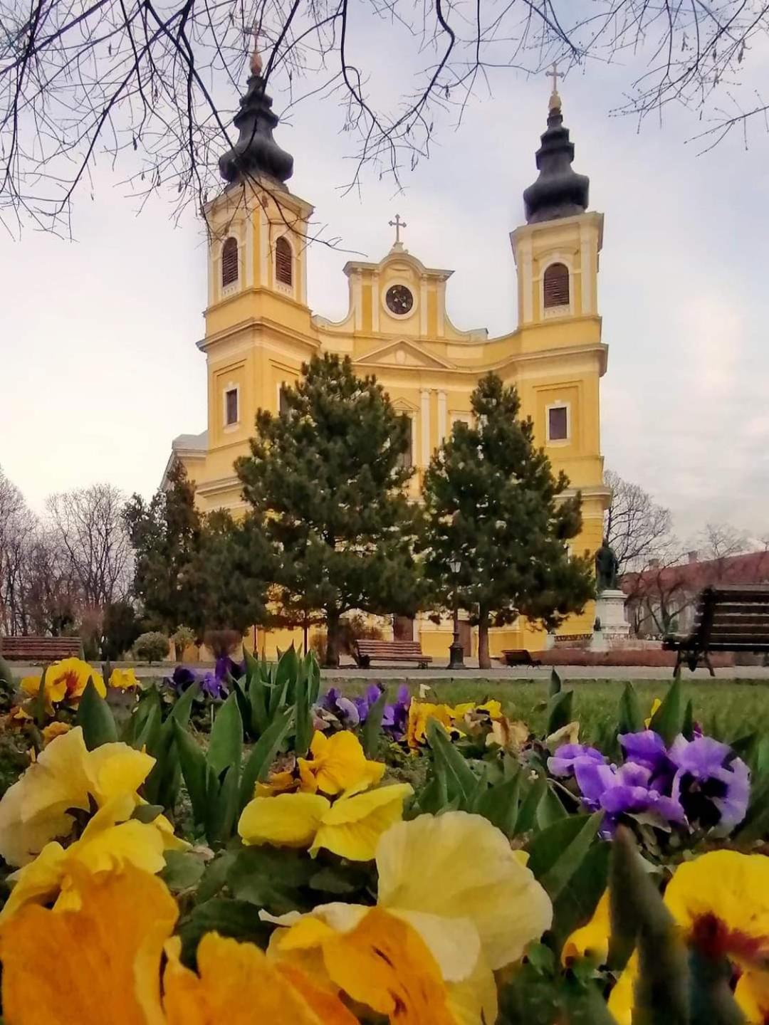 Alia Lejlighed Oradea Eksteriør billede
